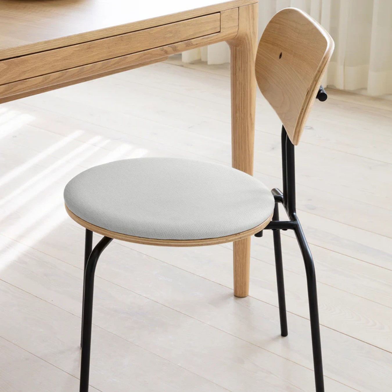 CURIOUS - Dining Chair