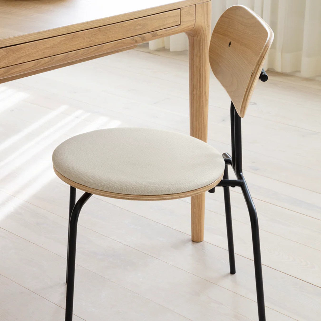 CURIOUS - Dining Chair