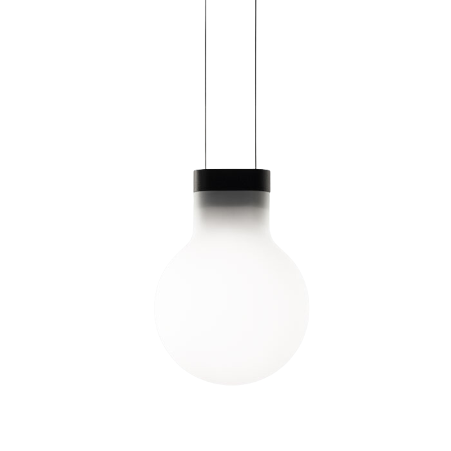 BOLD - Pendant Light